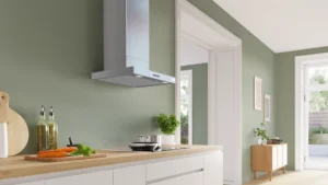 Аспиратор Bosch DWB65CC30